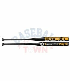 Best reviews of 💯 Demarini Windy City Slowpitch 🥎 Softball Bat ⌛